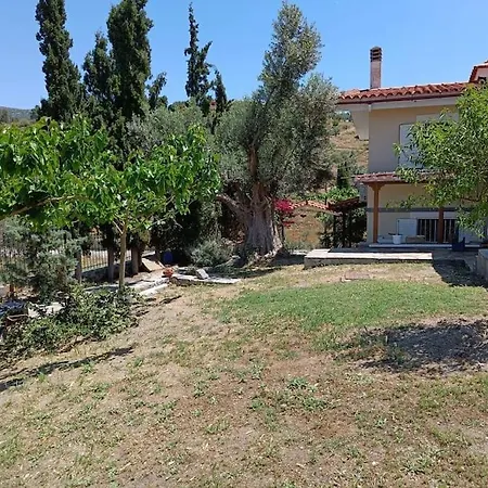 Kato Alonia Home Vatheia Exterior photo
