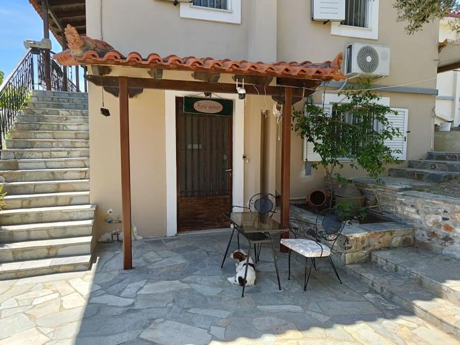 Kato Alonia Apartment *