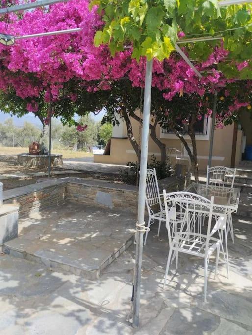 Apartment Kato Alonia Vatheia